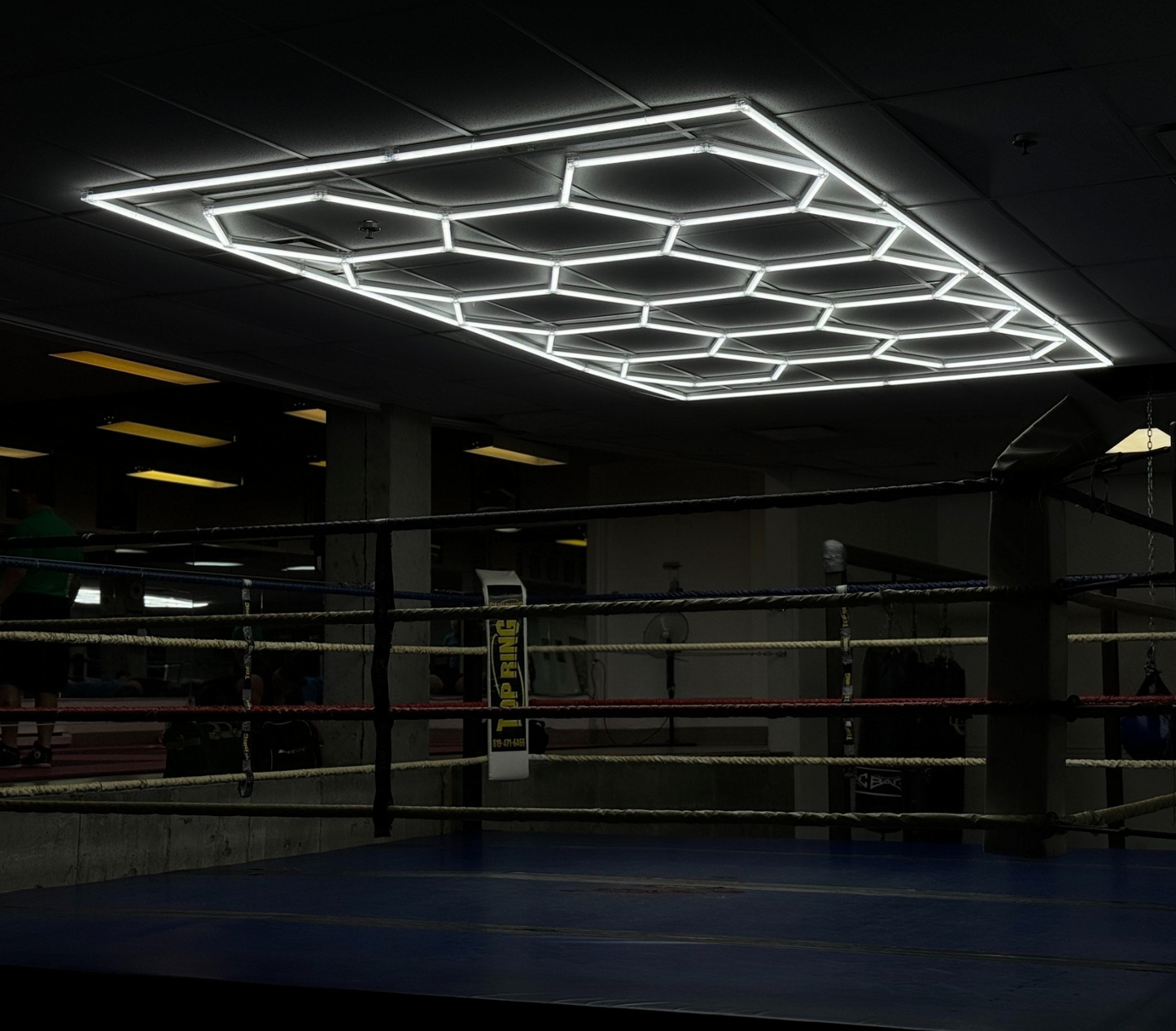LUMIÈRES LED HEXAGONALES 16' X 8'